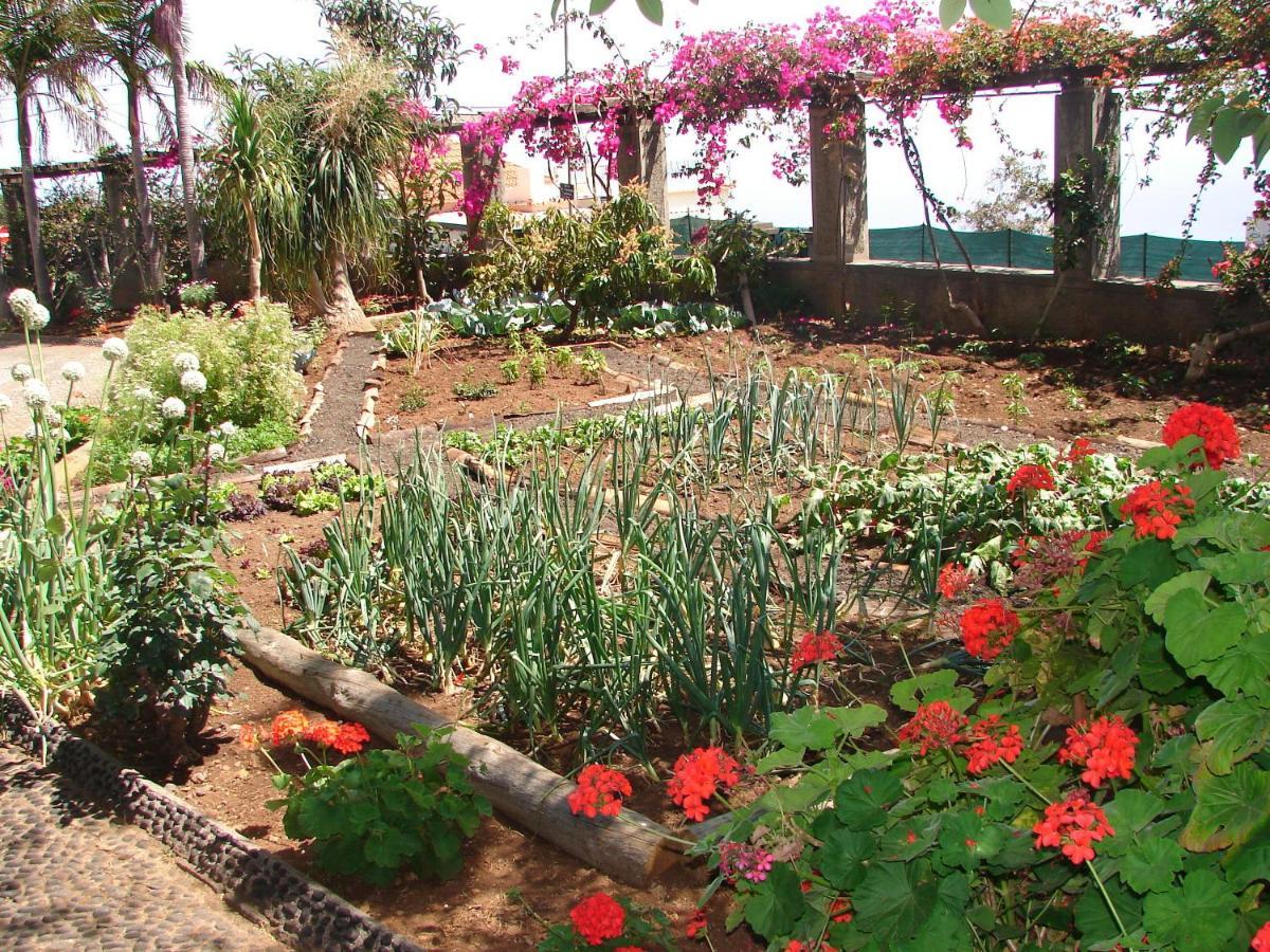 Quinta Do Bom Sucesso Apartman Funchal  Kültér fotó
