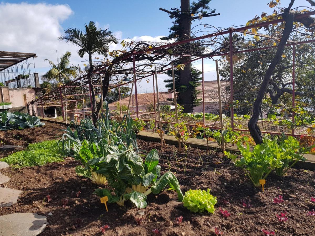 Quinta Do Bom Sucesso Apartman Funchal  Kültér fotó
