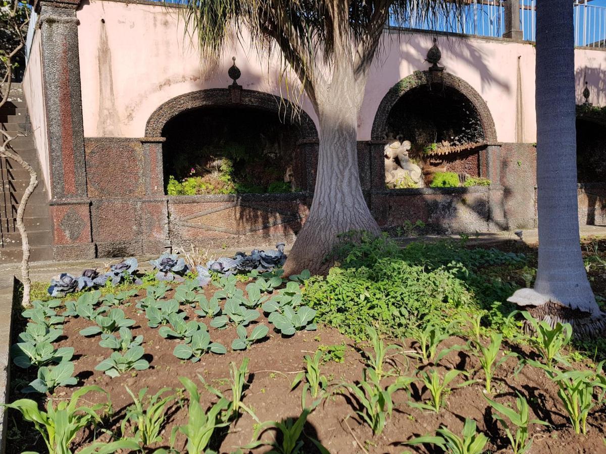 Quinta Do Bom Sucesso Apartman Funchal  Kültér fotó