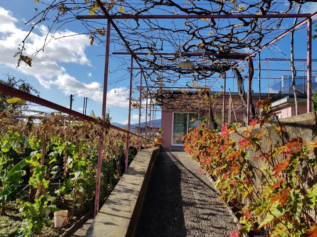 Quinta Do Bom Sucesso Apartman Funchal  Kültér fotó