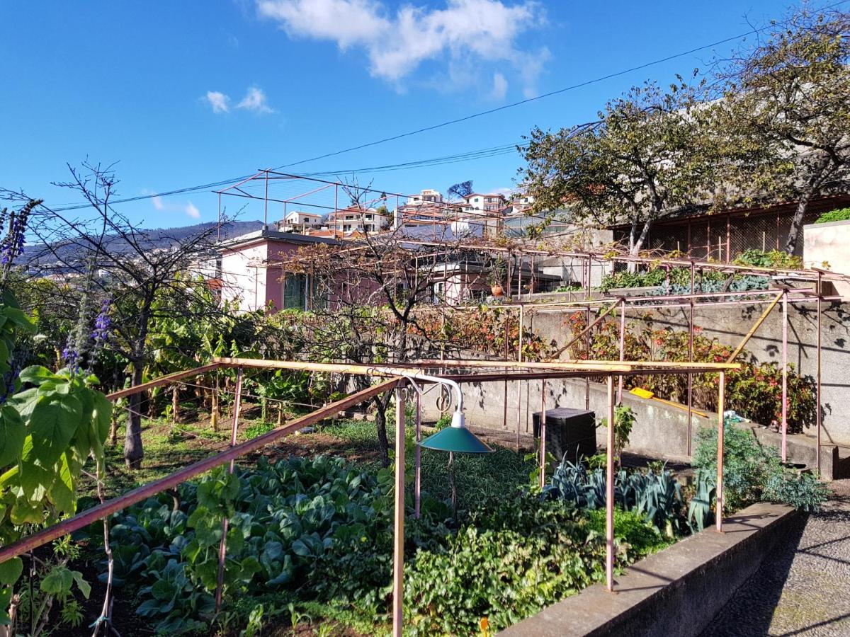 Quinta Do Bom Sucesso Apartman Funchal  Kültér fotó